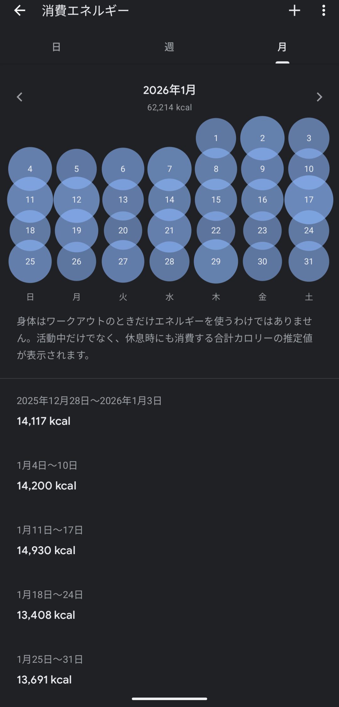 活動量の記録例（別月。同じく睡眠と同日の動きを並べて見る補助として）